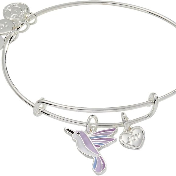 Hummingbird Charm Bangle Silver-Plated Expandable Jewelry for Women - Picture 1 of 4